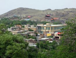 گیاهان دارویی قم - گلانه